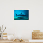 Dusky-Hai (Carcharhinus Obscurus), Ushaka Poster (Küche)