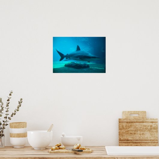 Dusky-Hai (Carcharhinus Obscurus), Ushaka Poster (Küche)