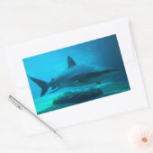 Dusky-Hai (Carcharhinus Obscurus), Ushaka Rechteckiger Aufkleber (Umschlag)