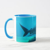 Dusky-Hai (Carcharhinus Obscurus), Ushaka Tasse (Links)