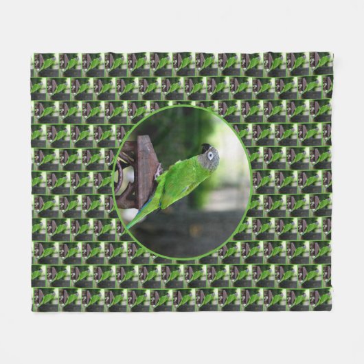 Dusky Headed Congreure Parrot Fleecedecke (Vorderseite (Horizontal))