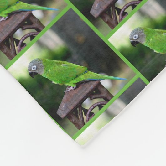 Dusky Headed Congreure Parrot Fleecedecke (Ecke)