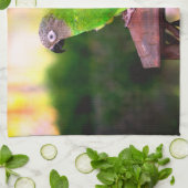 Dusky Headed Congreure Parrot   Geschirrtuch (Gefaltet)