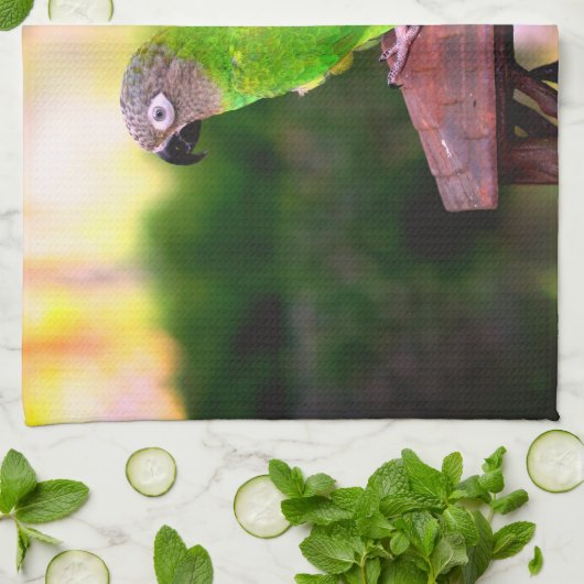 Dusky Headed Congreure Parrot   Geschirrtuch (Gefaltet)