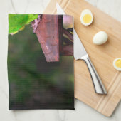 Dusky Headed Congreure Parrot   Geschirrtuch (Viertel Falte)