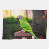 Dusky Headed Congreure Parrot   Geschirrtuch (Horizontal)