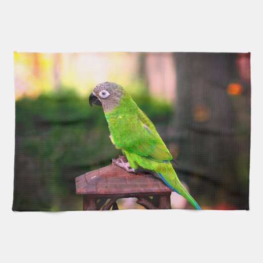 Dusky Headed Congreure Parrot   Geschirrtuch (Horizontal)
