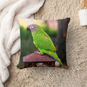 Dusky Headed Congreure Parrot Kissen