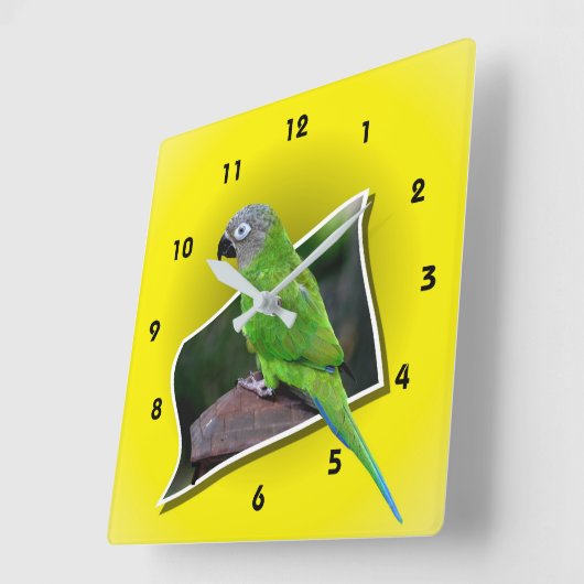 Dusky-Krustensittich Quadratische Wanduhr (Winkel)