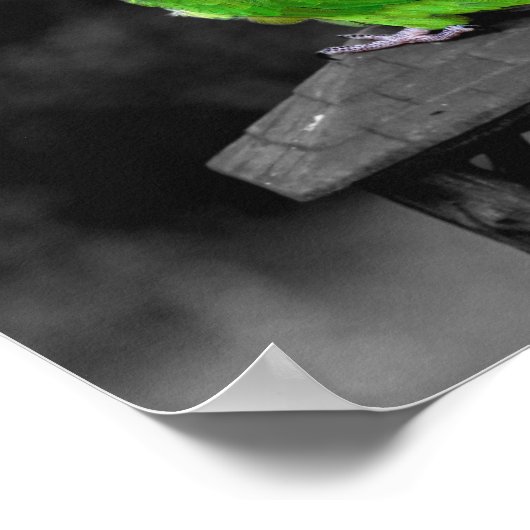 Dusky-verschleißte Farbe Poster (Ecke)