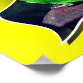 Dusky verschob den Peitschenpapagei aus den Grenze Poster (Ecke)