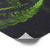 Düster dunkelgrüne Farnblätter Botanische Natur Poster (Ecke)
