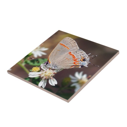 Düstere blaue fliese (Seite)