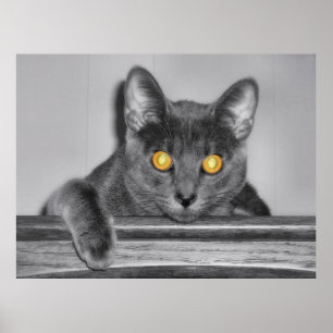 Düstere Goldene Druck Poster