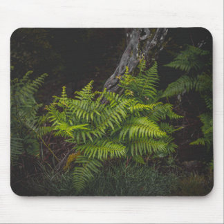 Düstere grüne Naturthemen mit Farnen Mousepad