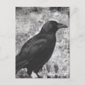 Düsterer Onyx-Gotik-Distressed-Rabe Postkarte (Vorderseite)