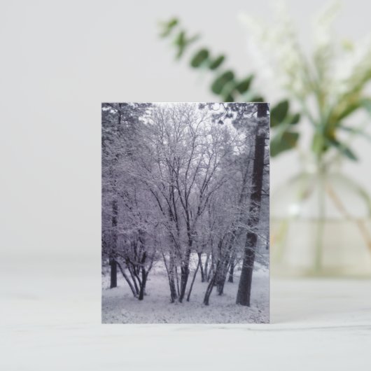 Dusterung Postkarte (Stehend Vorderseite)