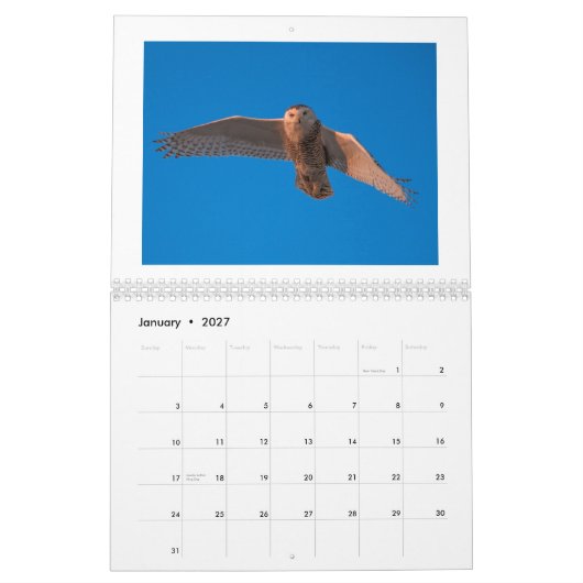 Dustin Gabriel Kalender Fotografie-2015 (Jan 2027)