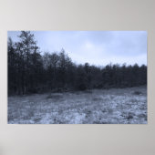 Dusting of Snow at the Bog Poster (Vorne)