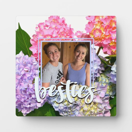 Dustrosa, blau-gelb-grüne Hydrangeas Fotoplatte (Vorderseite)