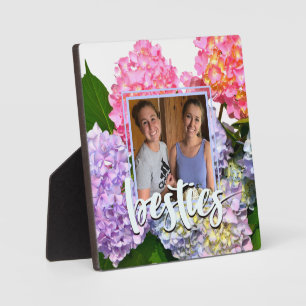 Dustrosa, blau-gelb-grüne Hydrangeas Fotoplatte