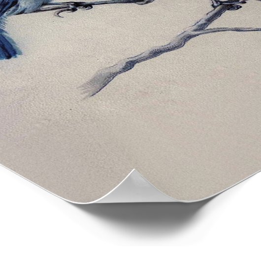 Dusty Blue und Gray Birds auf einem Zweig Wasserfa Poster (Ecke)