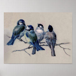 Dusty Blue und Gray Birds auf einem Zweig Wasserfa Poster