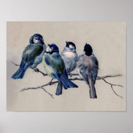 Dusty Blue und Gray Birds auf einem Zweig Wasserfa Poster