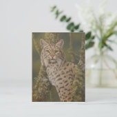 "Dusty" Bobcat Postkarte (Stehend Vorderseite)