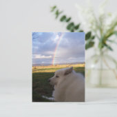 Dusty Charms sie alle Postkarte (Stehend Vorderseite)