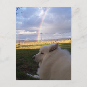 Dusty Charms sie alle Postkarte