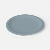 Dusty Cornflower Blue Solid Color Pappteller (Schrägansicht)