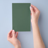 Dusty Eucalyptus Green Solid Color Flyer (Handgriff)