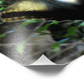 Dusty Gold Butterfly Fotodruck (Ecke)