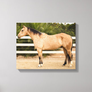 Dusty Horse Canvas Print 11x14 Leinwanddruck