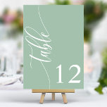 Dusty Mint Green Modern Calligraphy Wedding Tischnummer<br><div class="desc">Mit diesen eleganten, staubigen und minzgrünen Hochzeitsfeiern führen Sie Ihre Gäste zu ihren Sitzplätzen. Diese Tischnummern mit minimalistischem Design und moderner Kalligraphie fügen Ihrem Hochzeitsempfang eine Touch von Eleganz hinzu. Der weiche Hintergrund und die gepflegte, elegante Typografie sorgen für eine einfache Lesbarkeit bei gleichzeitig verstärkter Hochzeitsdekoration. Diese Tischnummern sind perfekt...</div>