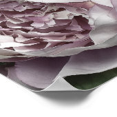 Dusty Pink Peony Bouquet Poster (Ecke)