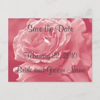 Dusty Pink Rose Save the Date Postcard Ankündigungspostkarte