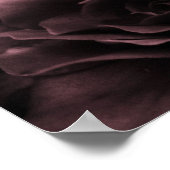 Dusty Plum Nah aus einer Doppelbegonie Poster (Ecke)