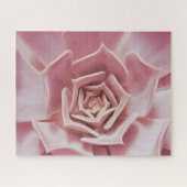 Dusty Rose Pink Sukkulente Pflanze Jigsaw Puzzle (Horizontal)