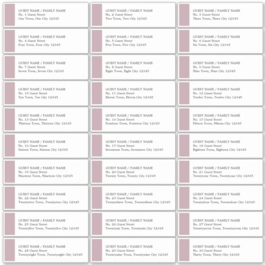 Dusty Rose Wedding 30 Guest Address Labels (Vorderseite)