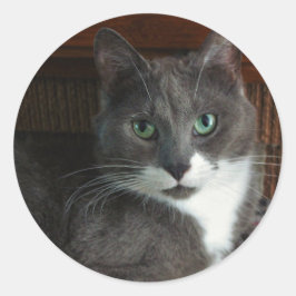 Dusty Runder Aufkleber