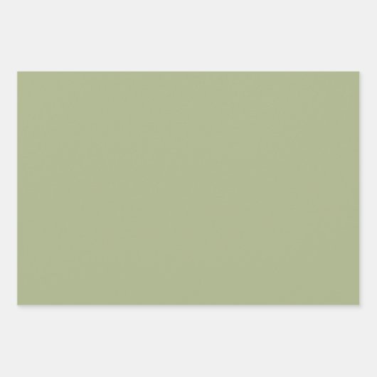 Dusty Sage Green Solid Color Geschenkpapier Set (Vorderseite 3)