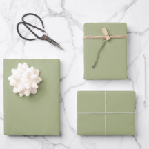 Dusty Sage Green Solid Color