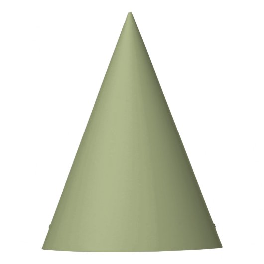 Dusty Sage Green Solid Color Partyhütchen (Vorderseite)