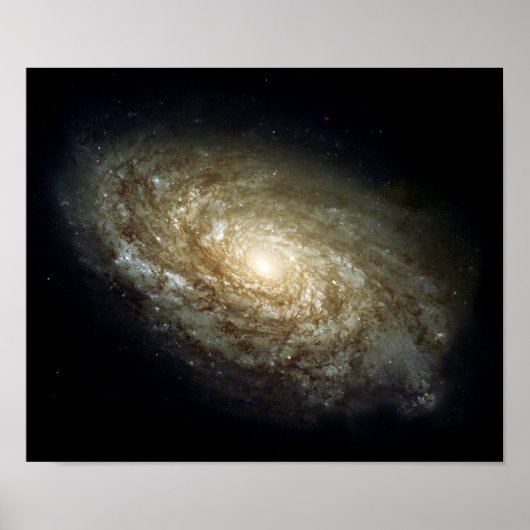 Dusty Spiral Galaxy Poster (Vorne)