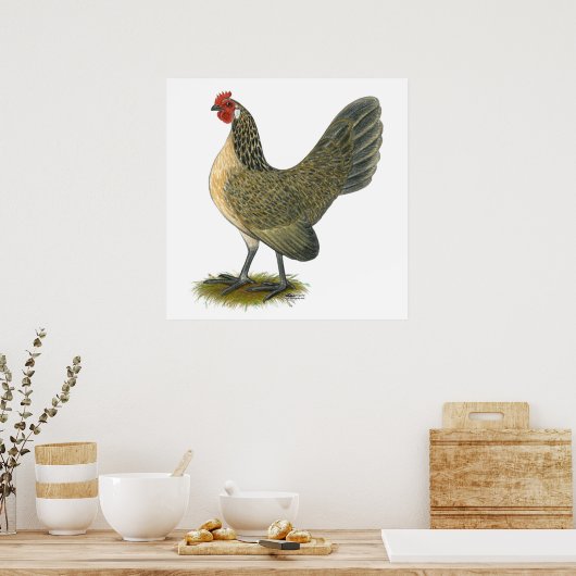 Dutch Bantam: Blue Quail Hen Poster (Küche)