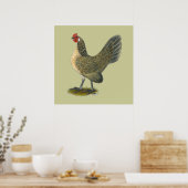 Dutch Bantam: Blue Quail Hen Poster (Küche)