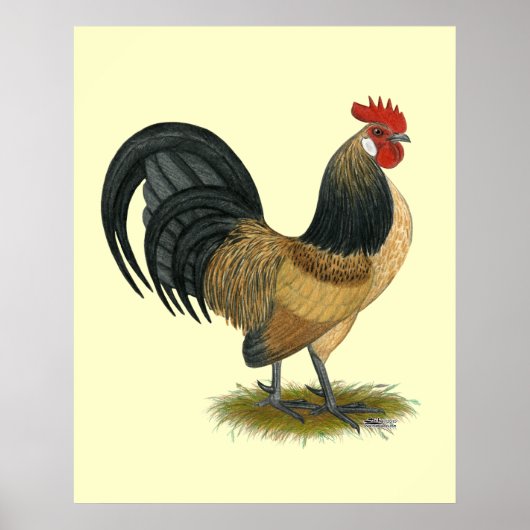 Dutch Bantam: Blue Quail Rooster Poster (Vorne)