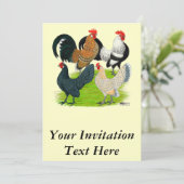 Dutch Bantam Quartett Einladung (Stehend Vorderseite)